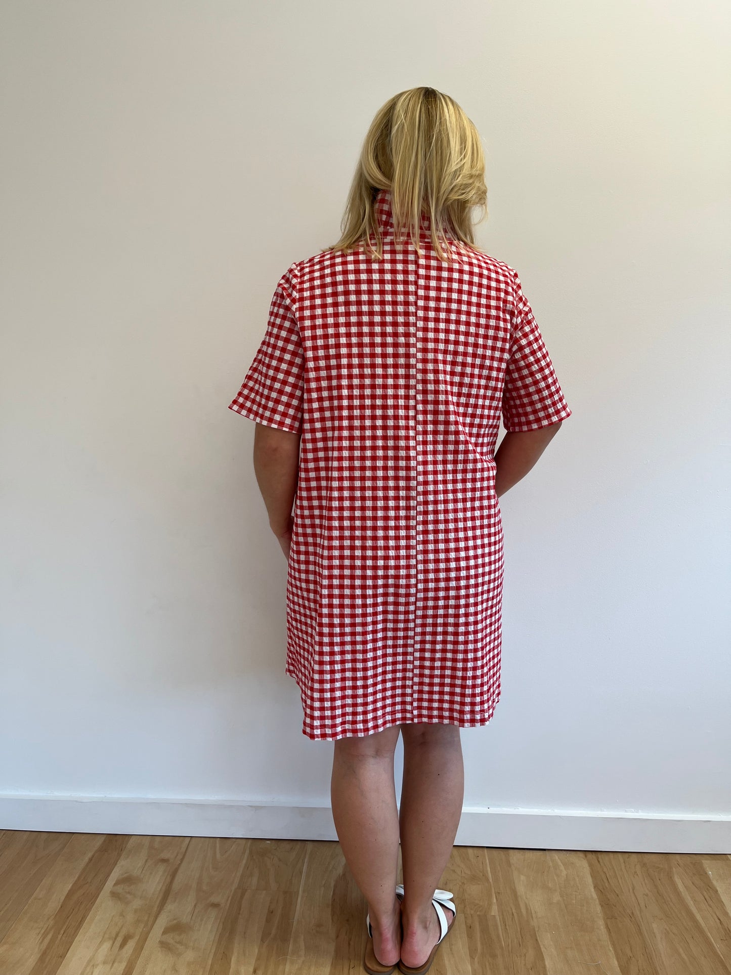 Paige Red Gingham Dress
