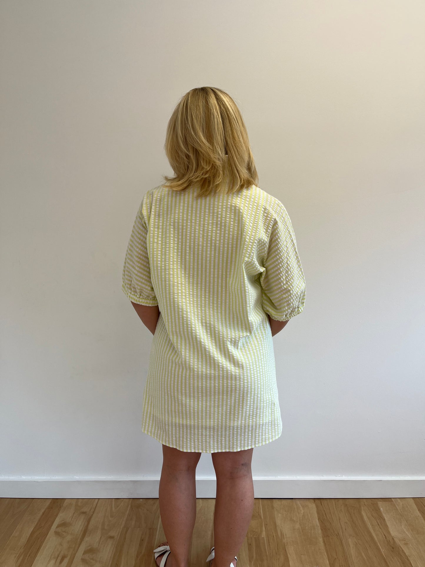 Charlotte Lime Seersucker Dress