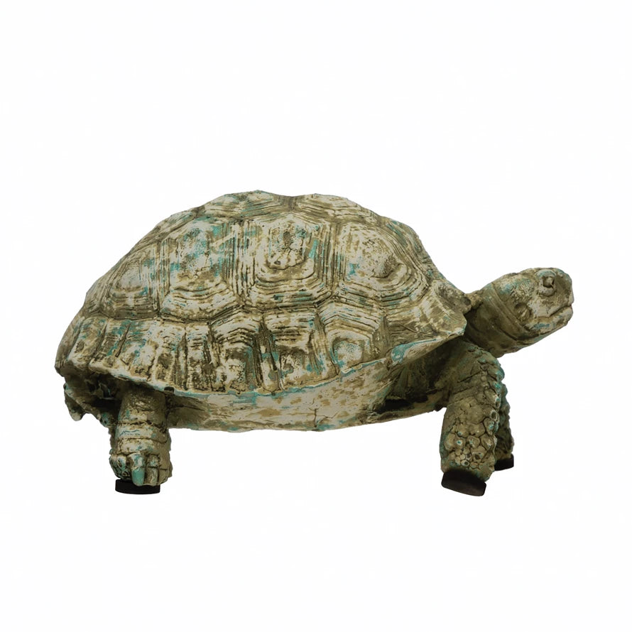 Distressed Turtle
