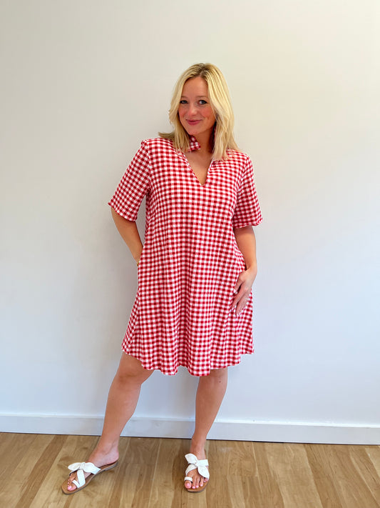 Paige Red Gingham Dress