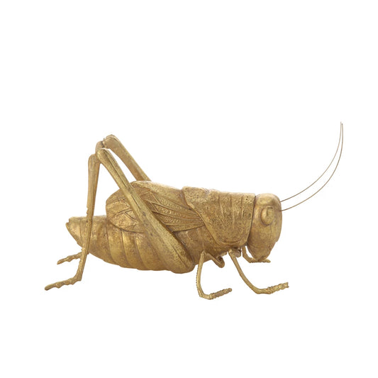 Gold Cricket