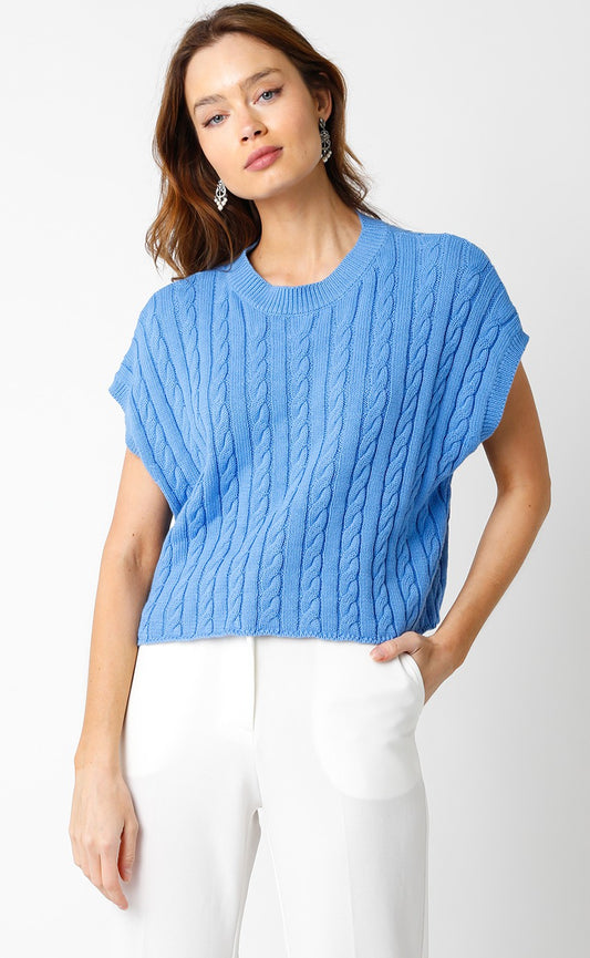 Molly Blue Sweater Top